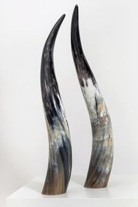 Corne à boire naturelle personnalisée corne de Viking bière et vin Restaurant utilisation de mariage corne de Viking antique sculptée pour la fête de Noël - Product Image 6