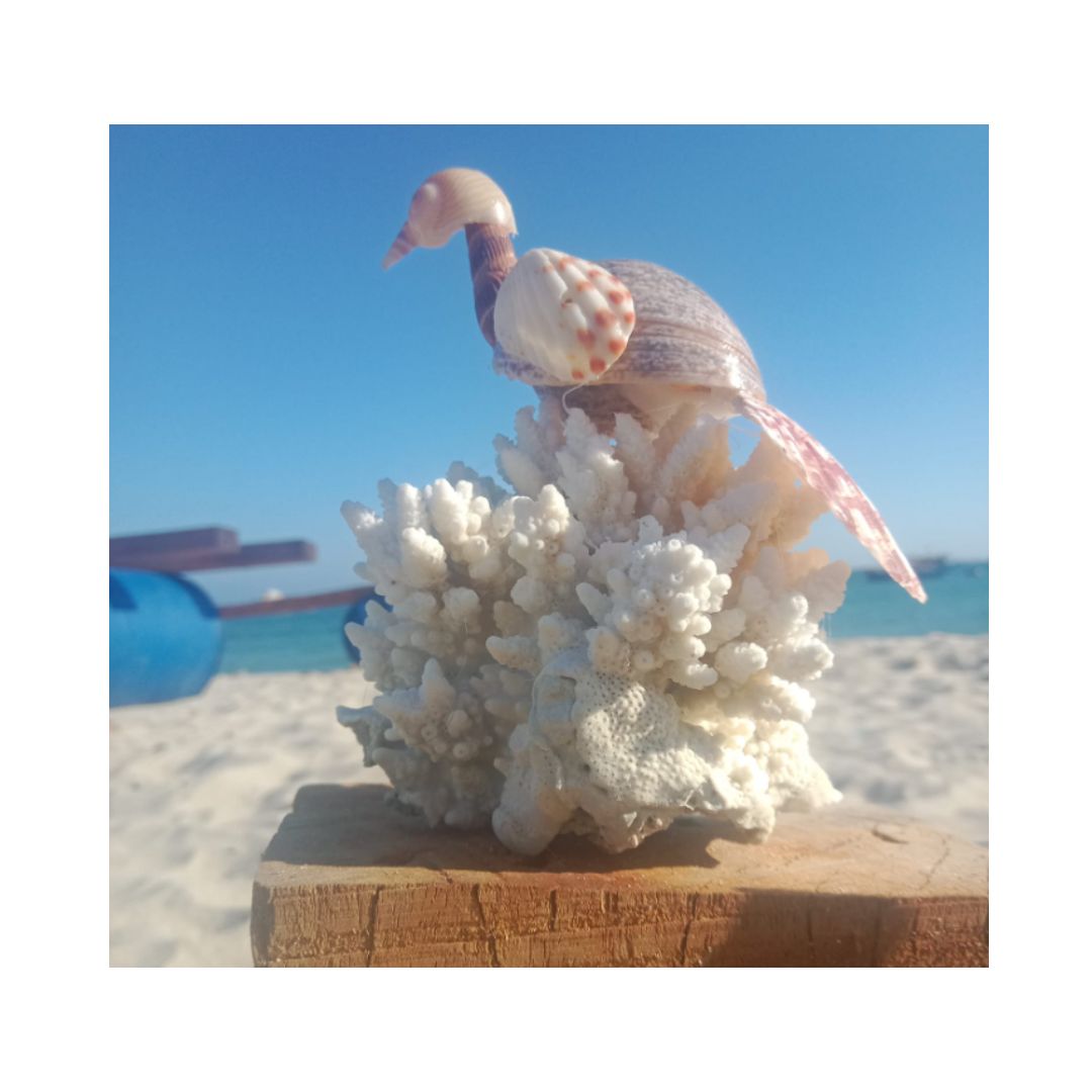 ธรรมชาติ