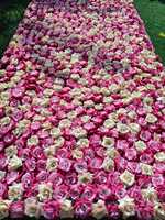 Tapis floral rose pour allée royale de mariage, toile de fond murale pour événement d'anniversaire, panneaux de scène de réception, décoration de mariage en destination
