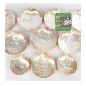 Plaque de nacre naturelle de haute qualité plat de caviar de coquille polie pour la salle à manger de luxe et la décoration de la maison - Product Image 5