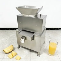 Hoge Efficiëntie Duurzame Wortelpers Energiebesparende Industriële Citroenpers voor Wortelsap en Citrusdrankproductie