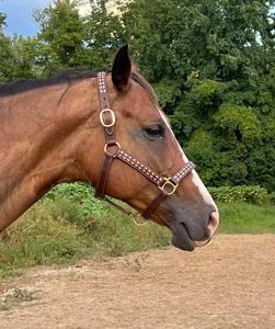 Juego de tachuelas de cuero occidental con Riendas de cuello de pecho para entrenamiento de carreras y Rodeo - Product Image 3