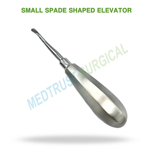 Elevador Dental Quirúrgico Pequeño en Forma de Pala, Instrumento de Acero Inoxidable para Extracción de Dientes y Elevación de Raíces - Product Image 2