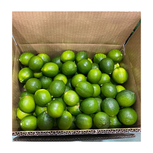 Wholesale Fresh Lime Lemon Seedless 6cm Diameter Green Seedless Lemon From Vietnam for Export - Product Image 3