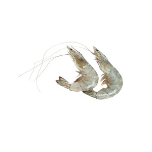 Camarones Vannamei Congelados al por Mayor, Mariscos Congelados Premium a Precios Accesibles - Product Image 5