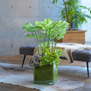 Grandes plantes artificielles d'intérieur et d'extérieur de luxe Mini arbre décoratif vert Jardin Collection de verdure en gros - Product Image 4