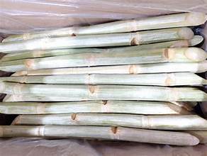 CAÑA DE AZÚCAR CONGELADA PURA NATURAL ETIQUETA LIMPIA PRODUCTO BASADO EN PLANTAS - Product Image 5