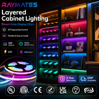 Bande lumineuse LED COB RAYMATES UL Dream Color Pixel SPI RGB, 420 LED, 24V, adressable, haute densité, ultra-fine, flexible