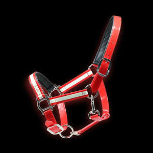 Harnais de cheval anglais en PVC imperméable et réfléchissant - Product Image 3