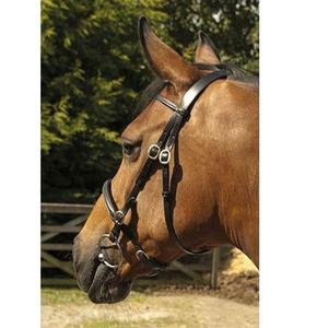 Brides en cuir anglais dans la main Brides d'équitation professionnelles de bonne qualité Bride de cheval avec logo personnalisé Meilleure vente de cuir à bas prix - Product Image 1