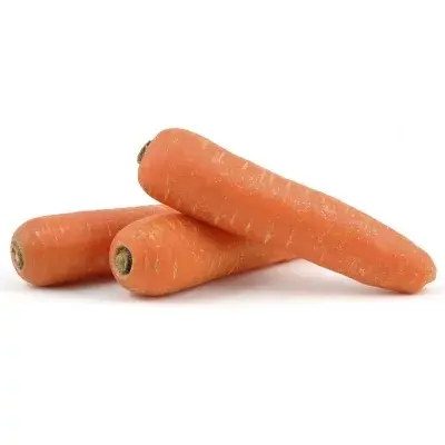 Pemasok grosir sayuran segar wortel segar Harga terbaik wortel tanaman baru wortel merah