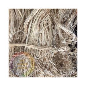 Fibre de banane de haute qualité du Vietnam: parfait pour les textiles et l'artisanat-Meilleurs prix pour les commandes en gros - Product Image 2
