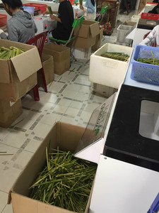 หลอดไม้ไผ่และหญ้าฟางเป็นมิตรต่อสิ่งแวดล้อมจากเวียดนามพร้อมวัสดุธรรมชาติ - Product Image 6