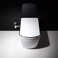 Meilleure toilette électronique intelligente SL625 WC au sol de style japonais allongé homme femme nettoyage eau sans réservoir pour salle de bain