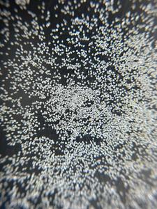 La poudre de diamant concassée naturelle dans la gamme de 35 mesh à 400 mesh est considérée comme une qualité abrasive grossière à moyenne-fine - Product Image 3