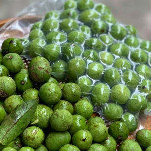 FROZEN DRACONTOMELON FRUIT / SOUR AND AROMATIC / READY FOR <b>PICKLES</b> BEVERAGES AND OEM VIETNAMESE CUISINE EXPORT APPLICATIONS - Product Image 1