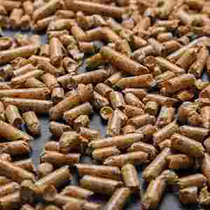 Combustible de Pellets de Madera de Pino Ecológico Hecho de Madera Blanda 100% Natural, Calidad de Exportación de Vietnam, Baja Humedad, Alto Potencial Calorífico - Product Image 1