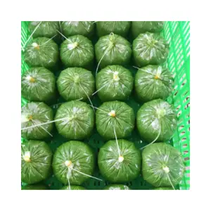 Feuilles de manioc congelées / Fournisseur de feuilles de manioc congelées de qualité supérieure / Feuillage de manioc naturel - Product Image 1