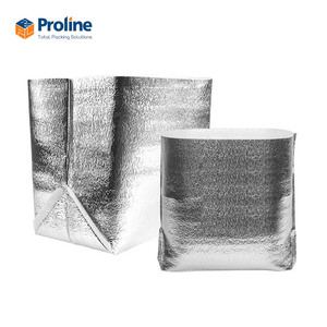 Proline Insulated Thermal Food Bag 13.4x13.8 Inch Zipper Closure PE Material Water Resistant Portable Foldable <b>Cooler</b> Bag - Product Image 3