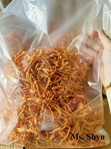 Venta al por mayor liofilizado Cordyceps Militaris flores secas Cordyceps Militaries seta 100% puro natural más valorado-Sra. Shyn - Product Image 4