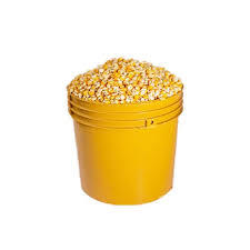 Comprar Maíz Amarillo para Consumo Humano, Maíz Amarillo No Transgénico/Amarillo - Product Image 2