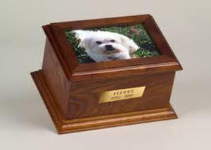 ภาชนะใส่เถ้ากระดูกสำหรับแมวและสุนัขรูปทรงโกศทำด้วยมือสไตล์อเมริกัน - Product Image 2