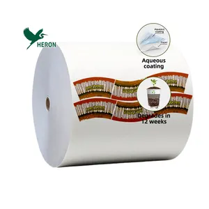 Aqueous Coated Paper Cup Rolls Alternative PE/ Biodegradable Double sided Cold Peel 265 295 315 GSM paper cup material Rolls