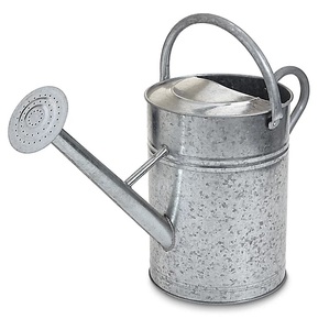 Métal Forme Ronde En Acier Inoxydable Jardin Arrosage Fleur Plante Avec Poignée Jardin Bidon D'eau - Product Image 5