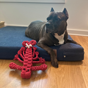 Giocattolo da Masticare per Cani a Forma di Aragosta Rossa, Corda in Cotone Riciclato Resistente, Fatto a Mano, Taglia Media, per Uso Interno, Stile Carino - Product Image 2