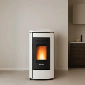 Poêle à bois au design moderne avec four, poêle à granulés en fonte, combustible pour le chauffage, à vendre - Product Image 1