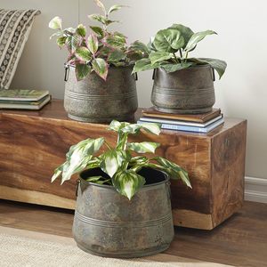 Paquete de 3 jardineras elegantes de metal para bañera, decoración de jardín Vintage antigua rústica con asas de anillo de doble cara - Product Image 4