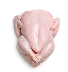 ไก่ส่วนหน้าแช่แข็งสด ขายส่ง ราคาดีที่สุด จากผู้ผลิตโดยตรง - Product Image 5