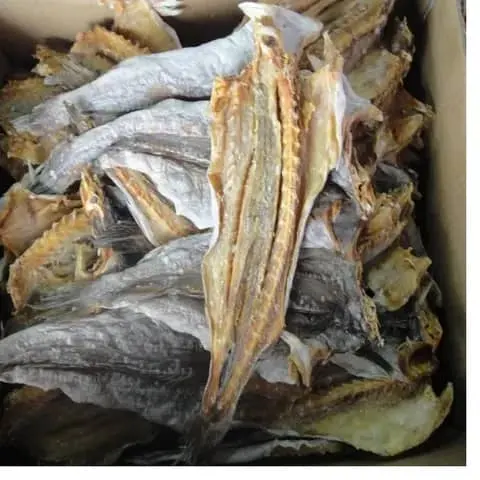 Stockfish seco para venda/StockFish seco/peixe congelado