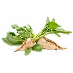 Sucre de betterave Icumsa 45 de bonne qualité Vente en gros Haut fabricant nouveau meilleur matériel à prix réduit - Product Image 6