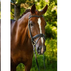 Venta al por mayor de alta calidad de cuero de caballo Brida de cuero de caballo Precio al por mayor Brida de cuero de caballo 2018 Venta caliente - Product Image 1