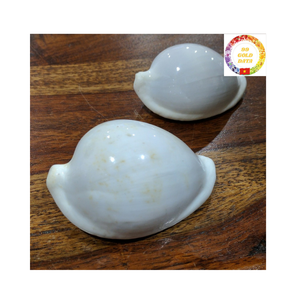 Coquilles de cauri naturelles de qualité supérieure pour la décoration de table de mariage et l'artisanat de bijoux faits à la main - Product Image 1