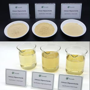 Низкомолекулярный водорастворимый пищевой порошок хитозана олигосахарида - Product Image 2