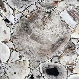 Azulejo de madera petrificada para decoración del hogar Interior para aplicación de Villa - Product Image 3