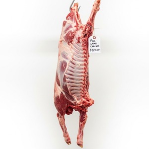 Oferta por tiempo limitado Carne congelada completa de cordero a granel Suministro de carne congelada de alta calidad disponible para exportación con envío rápido - Product Image 6