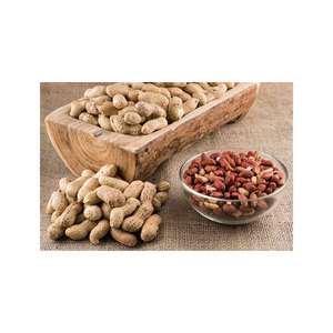 Cacahuetes Jumbo Secos Crudos al por Mayor de Alta Calidad en Empaque a Granel, Pelados a Máquina, Sin Pelar - Product Image 6
