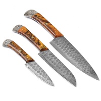 3-teiliges Professionelles Küchenmesser-Set mit Damaszener Stahlklingen und Holzgriffen DIY-Qualität Umweltfreundlich OEM-Unterstützung