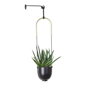 Maceta Colgante de Pared Negra y Dorada con Maceta para Jardinería Vertical Moderna en Interiores y Decoración del Hogar - Product Image 1