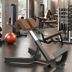 Équipement <span class=keywords><strong>de</strong></span> forme physique <span class=keywords><strong>de</strong></span> gymnase <span class=keywords><strong>de</strong></span> chaise romaine en métal utilisée commerciale <span class=keywords><strong>pour</strong></span> <span class=keywords><strong>le</strong></span> <span class=keywords><strong>banc</strong></span> d'extension arrière <span class=keywords><strong>de</strong></span> bodybuilding à vendre - Product Image 2