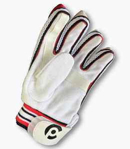 ถุงมือตีบอลถุงมือหนังสำหรับเล่นคริกเก็ตระบายอากาศได้ดี - Product Image 1