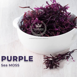 TOP VENTE VIETNAM violet seamoss SEAWEED-NOUVELLE ARRIVÉE 2024 SAISONNIÈRE WILDCRAFT SÉCHÉ MOSS DE MER IRLANDAIS MOSS TAKIMEX GLOBAL - Product Image 3