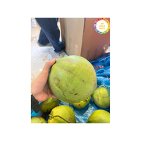 Premium Vietnam Vers Kokosnoot Natuurlijk Tropisch Fruit Voor Culinair Gebruik Sapdranken En Internationale Groothandel Exportaanbod