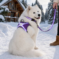 Ensemble d'aventure en plein air Qcool : Harnais, collier et laisse en nylon respirant avec LED – Vente en gros pour animaleries – Kit de promenade pour chien