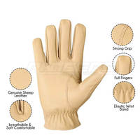 Gants de conduite personnalisés couleur crème antidérapants pour l'extérieur, haute qualité, poignet en sergé, OEM en gros, gants de conduite pour hommes et femmes