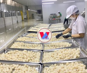 Exportador Vietnamita de Confianza: Lichi IQF a Granel (Sin Semillas) con Precios Directos de Fábrica. - Product Image 5