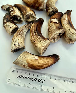 Rani Industries - Comida para Perros Hecha a Mano, Pulida, Personalizada, Cortada a Troquel y Impresa - Product Image 4